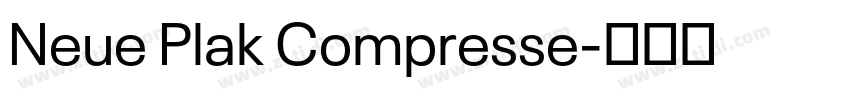 Neue Plak Compresse字体转换